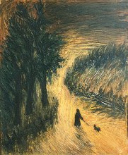 Evening Walk / ***