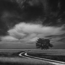 Roads / ***