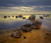 Bay Sandurovs / ***