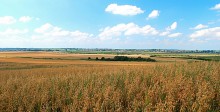 August is time to harvest / ***