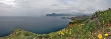 Spring expanses of Cimmeria / ***