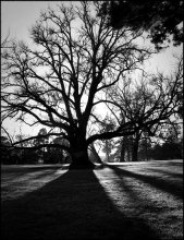 At dawn / ***