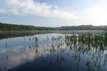 White Lake / ,,,,,,,,,,,,,,,
