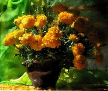 Marigold / **********************