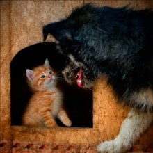 Who\'s the Boss? / *********