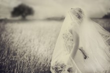 Wind / ..............
