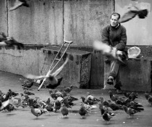 Fly / *******************