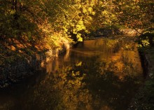 Evening coming / ***************
