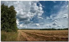 On pasture of heavenly ... / ***