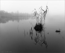 ABOUT ZEN "Break"-LAKE ... / ***