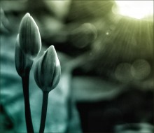 ..... Meeting new day ..... / ***