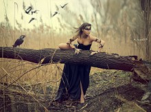 Morrigan / ______