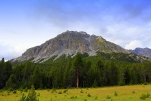 Alpine ... / ***