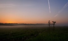 Greeting the dawn / ***
