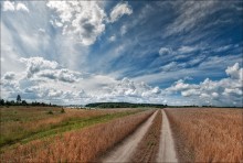 Straße ohne Anfang und Ende ... / ***
