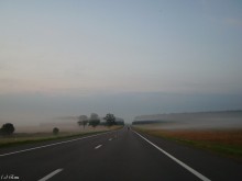 Go into the fog. / ***
