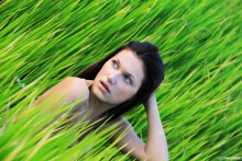 Nymph / ***
