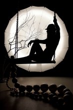 Moon / ________