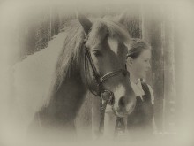 horse story ... / http://www.youtube.com/watch?v=OZ8UraZS5mE