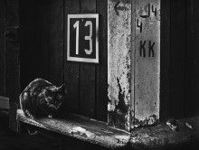 Guardian home № 13 / +++++++