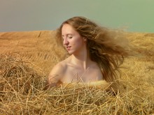 in a haystack / ***