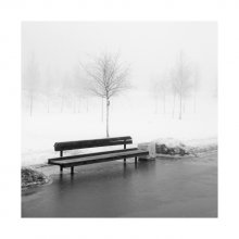 no season / -------
