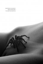 ?:%; № "№; / http://frost-phr.livejournal.com/39373.html