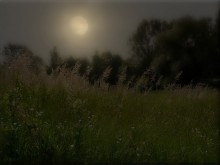 August Night ... / http://www.youtube.com/watch?v=8XxMS1DMdeo&NR=1