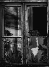 Vigilance / ******