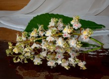 Was the month of May ... / http://www.youtube.com/watch?v=HdF4nndvhjU