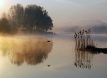 about a morning bird / -------