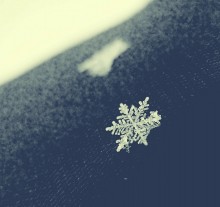 ... Fellow traveler ... / ***