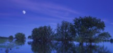 Akhtuba evening / ***
