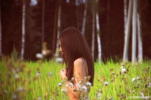 Story / ..........