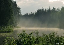 ... Like cotton, absorb the sounds of mist ... / ***