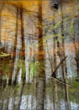 marsh gas / .................