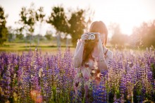 Summer shot. / **********