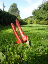 I dropped the pruner ... / ........