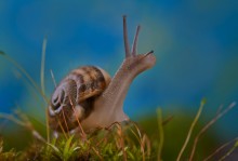 "She\'s on the back of the house itself as a lovely dwarf" / ***