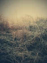 Autumn morning / ***