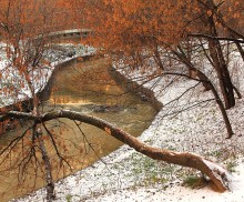 First snow / **********