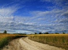 Oh, track, Feld ..... / ***