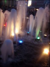 water / ***