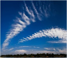 Cloud fairy / .....