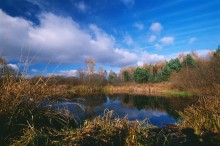 Village pond / ***