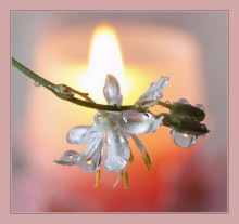 Candle ... / http://www.youtube.com/watch?v=A6Y3q5H2CvM