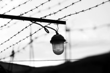 Different freedom / ******