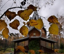 Autumn / http://www.youtube.com/watch?v=vQXXr6AZUkE&feature=related