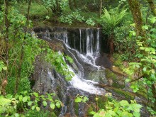 In the mountains / ......