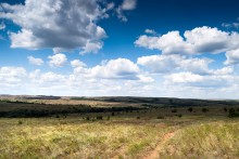 Donbas Steppe / .....
